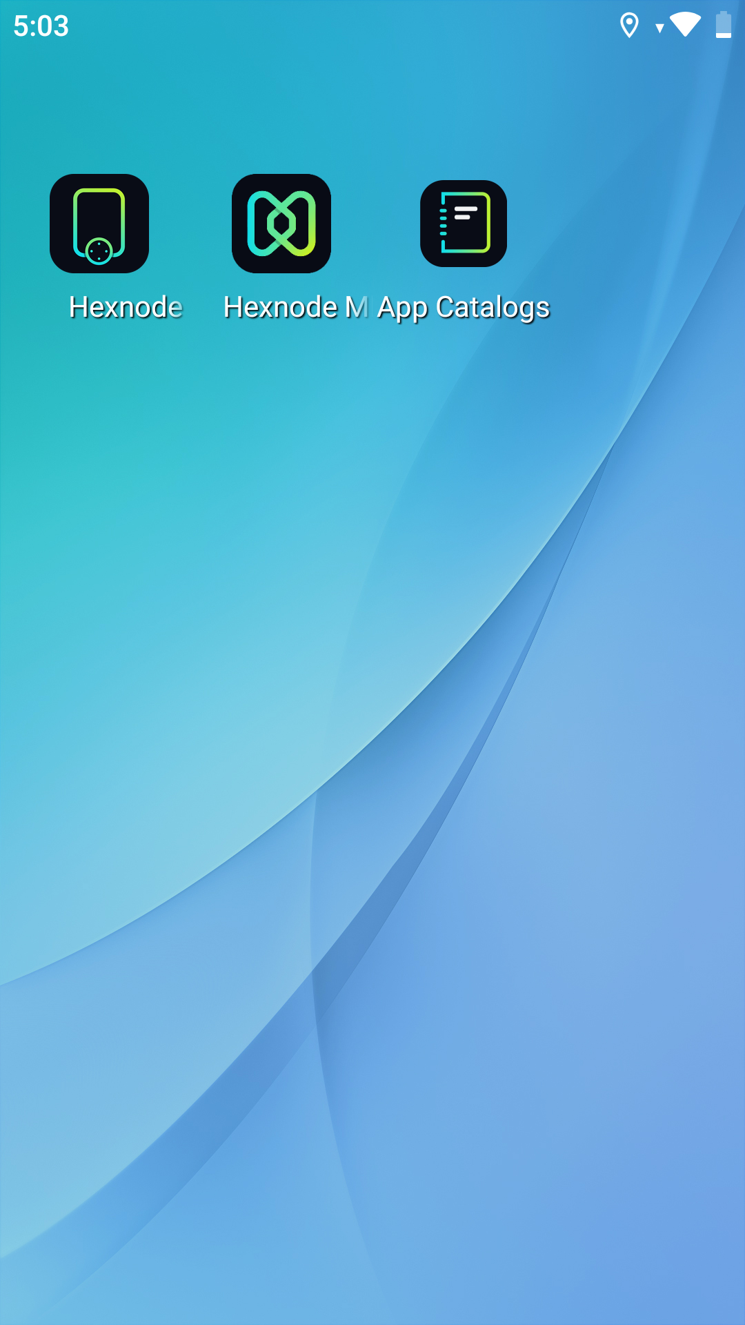 App catalog in kiosk mode