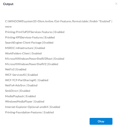 Batch script output listing all enabled features